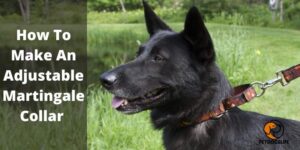 How To Make An Adjustable Martingale Collar – Complete Guide