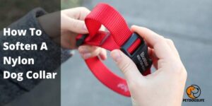 How to Soften a Nylon Dog Collar (Complete Guide) – PetDogsLife