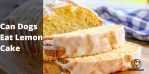 Can Dogs Eat Lemon Cake | Quick Answer In 2022
