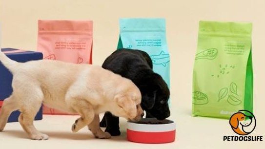 How Long Does A 30Ib Bag Of Dog Food Last