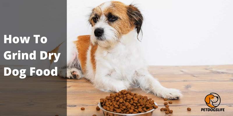 How to Grind Dry Dog Food