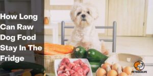 How Long Can Raw Dog Food Stay In The Fridge – PetDogsLife
