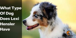 What Type Of Dog Does Lexi Hensler Have – PetDogsLife