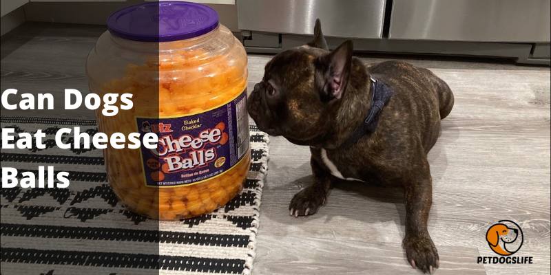 Can Dogs Eat Cheese Balls