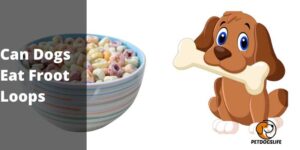 Can Dogs Eat Froot Loops – PetDogsLife