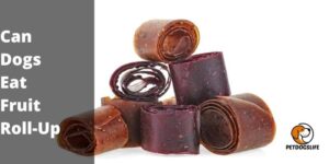Can Dogs Eat Fruit Roll-Up (The Risks) – PetDogsLife