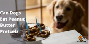 Can Dogs Eat Peanut Butter Pretzels – PetDogsLife