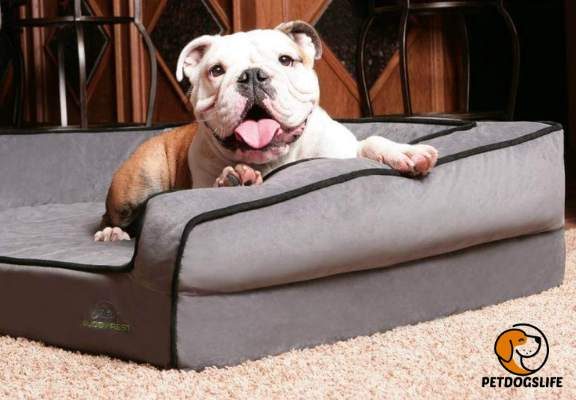 Best Dog Bed for English Bulldog