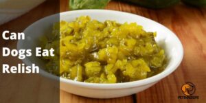 Can Dogs Eat Relish (Benefits And Risk) – PetDogsLife